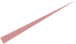 Polygon connector